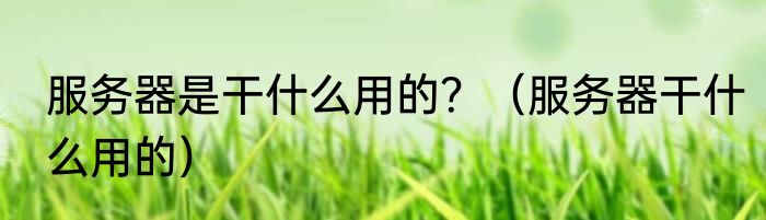 服务器是干什么用的？（服务器干什么用的）
