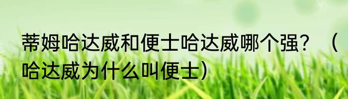 蒂姆哈达威和便士哈达威哪个强？（哈达威为什么叫便士）