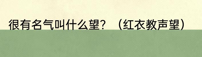 很有名气叫什么望？（红衣教声望）