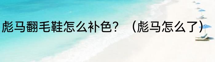彪马翻毛鞋怎么补色？（彪马怎么了）