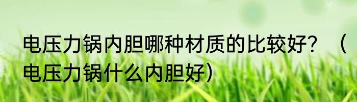 电压力锅内胆哪种材质的比较好？（电压力锅什么内胆好）