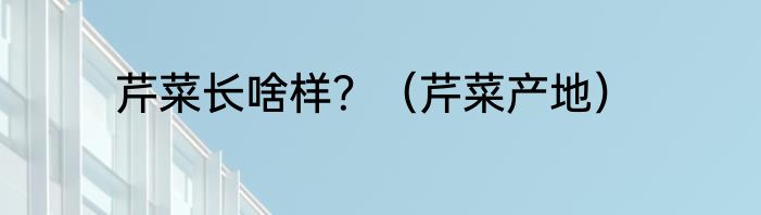 芹菜长啥样？（芹菜产地）