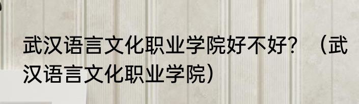 武汉语言文化职业学院好不好？（武汉语言文化职业学院）