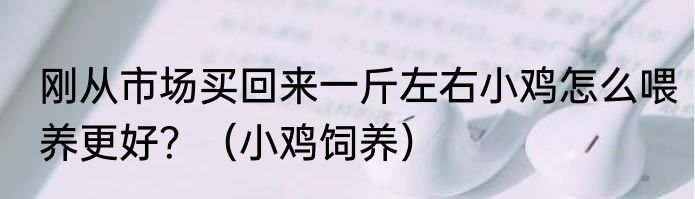 刚从市场买回来一斤左右小鸡怎么喂养更好？（小鸡饲养）