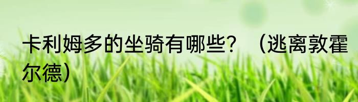 卡利姆多的坐骑有哪些？（逃离敦霍尔德）