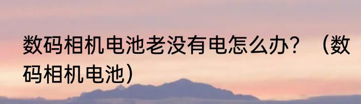 数码相机电池老没有电怎么办？（数码相机电池）
