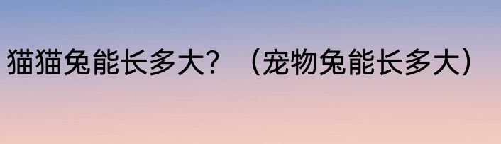 猫猫兔能长多大？（宠物兔能长多大）