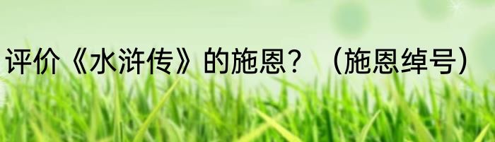 评价《水浒传》的施恩？（施恩绰号）