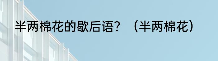 半两棉花的歇后语？（半两棉花）