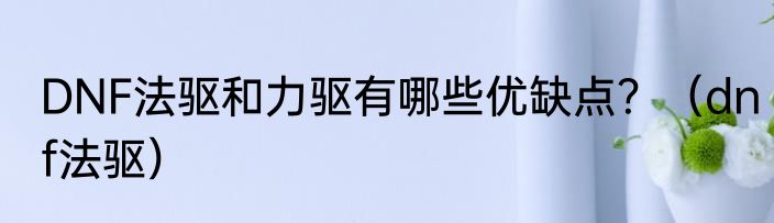 DNF法驱和力驱有哪些优缺点？（dnf法驱）