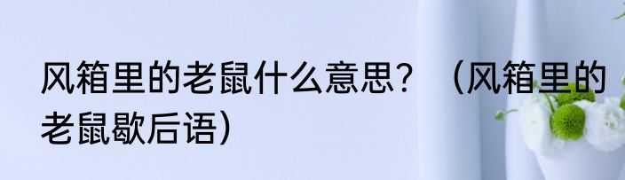 风箱里的老鼠什么意思？（风箱里的老鼠歇后语）