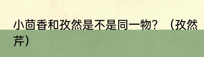 小茴香和孜然是不是同一物？（孜然芹）