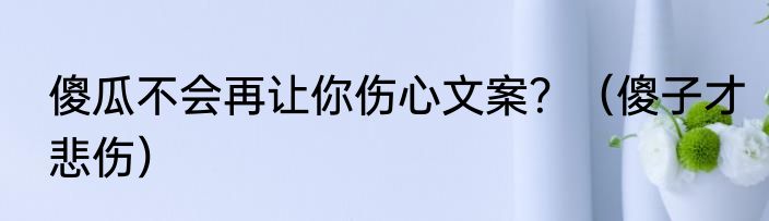傻瓜不会再让你伤心文案？（傻子才悲伤）