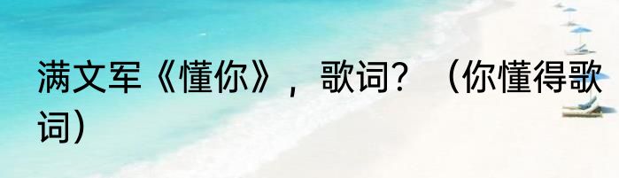 满文军《懂你》，歌词？（你懂得歌词）