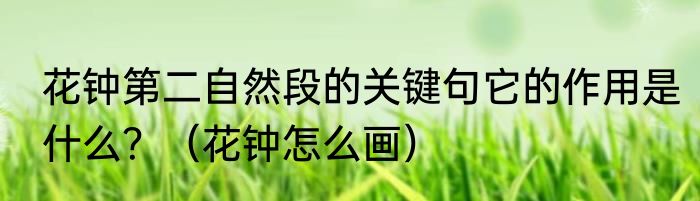 花钟第二自然段的关键句它的作用是什么？（花钟怎么画）