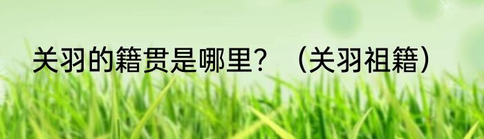 关羽的籍贯是哪里？（关羽祖籍）