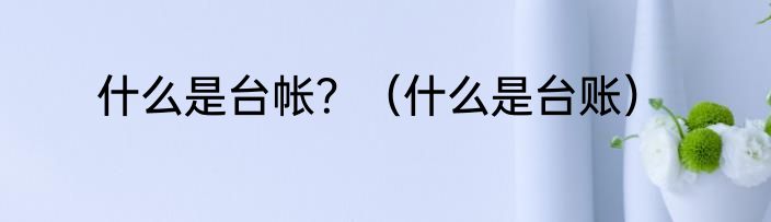 什么是台帐？（什么是台账）
