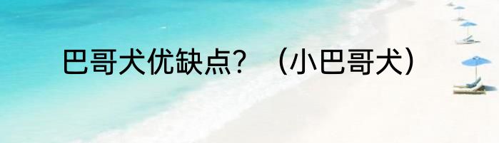 巴哥犬优缺点？（小巴哥犬）