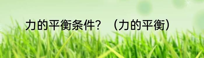 力的平衡条件？（力的平衡）