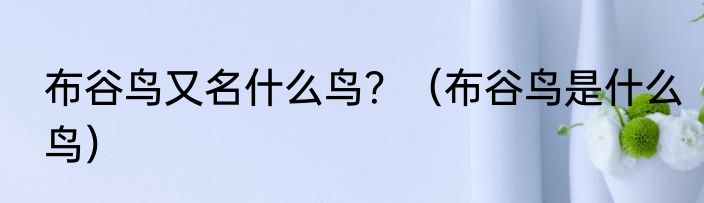 布谷鸟又名什么鸟？（布谷鸟是什么鸟）