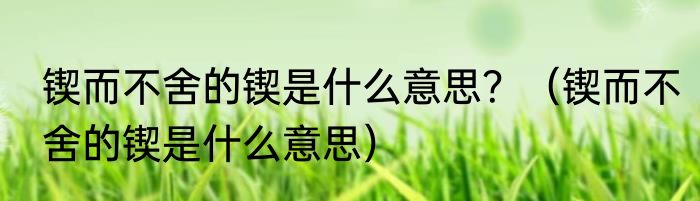 锲而不舍的锲是什么意思？（锲而不舍的锲是什么意思）