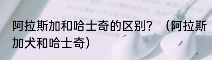 阿拉斯加和哈士奇的区别？（阿拉斯加犬和哈士奇）