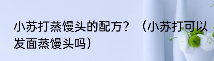 小苏打蒸馒头的配方？（小苏打可以发面蒸馒头吗）