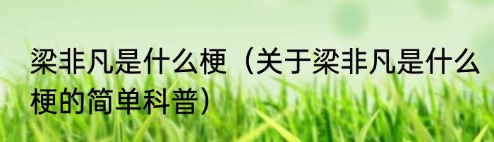 梁非凡是什么梗（关于梁非凡是什么梗的简单科普）