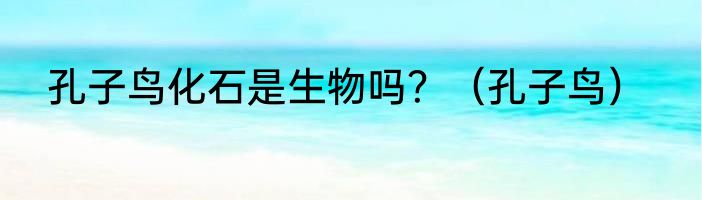 孔子鸟化石是生物吗？（孔子鸟）