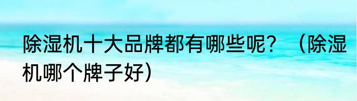 除湿机十大品牌都有哪些呢？（除湿机哪个牌子好）