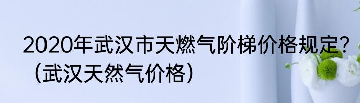 2020年武汉市天燃气阶梯价格规定？（武汉天然气价格）
