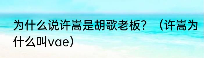 为什么说许嵩是胡歌老板？（许嵩为什么叫vae）