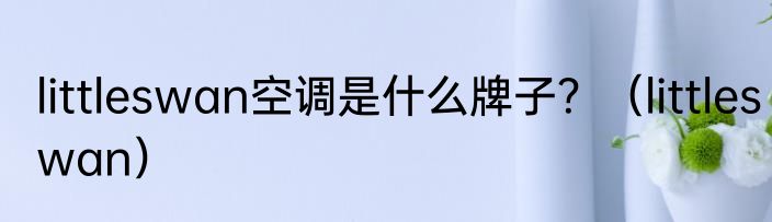 littleswan空调是什么牌子？（littleswan）