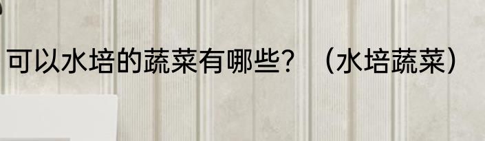 可以水培的蔬菜有哪些？（水培蔬菜）