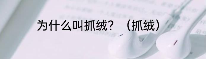 为什么叫抓绒？（抓绒）