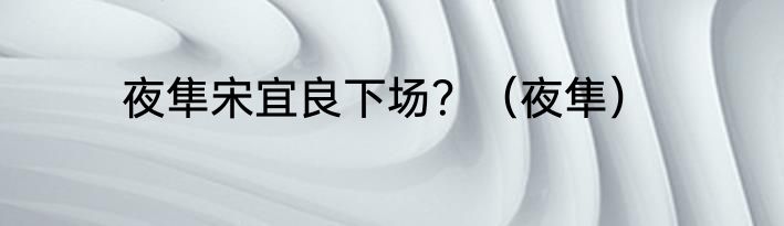 夜隼宋宜良下场？（夜隼）