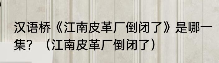 汉语桥《江南皮革厂倒闭了》是哪一集？（江南皮革厂倒闭了）