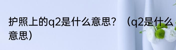 护照上的q2是什么意思？（q2是什么意思）
