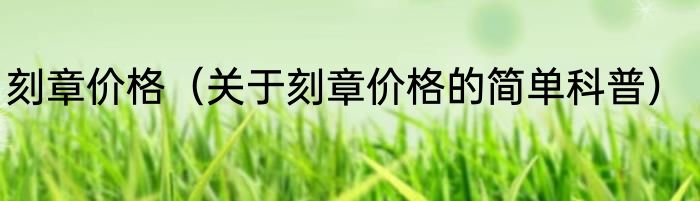 刻章价格（关于刻章价格的简单科普）