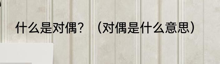 什么是对偶？（对偶是什么意思）