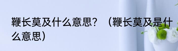 鞭长莫及什么意思？（鞭长莫及是什么意思）