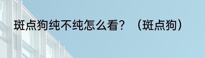 斑点狗纯不纯怎么看？（斑点狗）