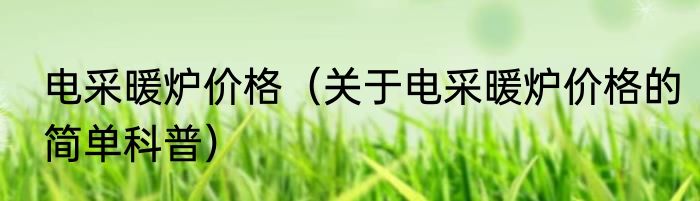 电采暖炉价格（关于电采暖炉价格的简单科普）