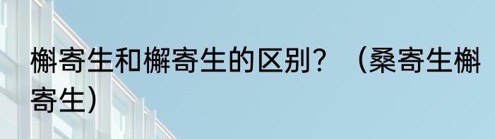 槲寄生和檞寄生的区别？（桑寄生槲寄生）