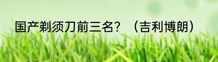 国产剃须刀前三名？（吉利博朗）