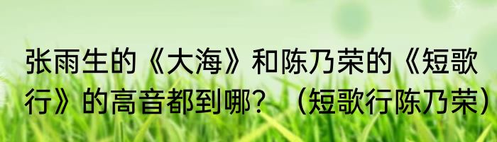 张雨生的《大海》和陈乃荣的《短歌行》的高音都到哪？（短歌行陈乃荣）