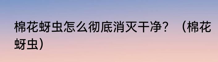 棉花蚜虫怎么彻底消灭干净？（棉花蚜虫）