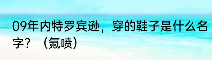 09年内特罗宾逊，穿的鞋子是什么名字？（氪喷）