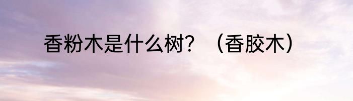 香粉木是什么树？（香胶木）