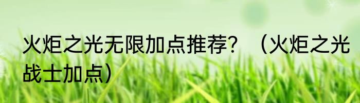 火炬之光无限加点推荐？（火炬之光战士加点）